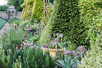 Hanham Court Gardens, Bristol. Early summer garden with topiary 'chess pieces' and mixed informal planting at base.  Large pots as gap fillers
