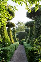 Hanham Court Gardens, Bristol. Early summer garden. Topiary avenue with 'chess pieces' and yew hedging