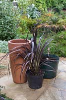 Ingredients needed for planting tall planter with Phormium 'Bronze Baby'