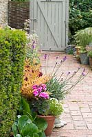 Brick path leading to garden gate with pots of Pelargonium and Erysimum