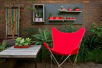 A recycled timber table and retro style red canvas butterfly chair. Behind, a collection of ceramic pots mounted on a black timber panel planted with cactus and succulents.