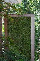 A freestanding timber green screen infilled with Muehlenbeckia complexa, wire vine.