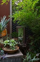 Corner detail of a corrugated iron raised garden bed with a succulent in a dish shaped terracotta pot and a box made from recycled timber with a mirror in it and a green screen of bamboo.