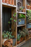 Timber display and storage shelving attached to a fence, with collections of terracotta pots, succulents, metal boxes and fire wood.