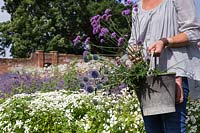 Sheree King carrying bucket with Verbena bonariensis and Echinops for floral arrangements