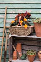 Rustic garden storage with Begonia, Succulents and Coleus