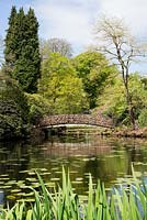 Rustic bridge which links to the island of the Japanese garden in Tatton Park, Cheshire.
