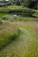 Mown pathway through meadow leading to natural pond