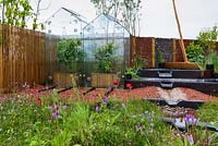 Excess water runoff and damp meadow planting in front of modern glasshouses - RHS Garden for a Changing Climate - RHS Chatsworth Flower Show 2017 - Designer: Andy Clayden, Dr Ross Cameron