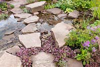 Ajuga reptans, Primula and Thyme. Borrowed Landscape in Naturalistic Water Garden - Jackie Knight's Just Add Water - RHS Chatsworth Flower Show 2017. Designer: Jackie Sutton - Built and sponsored by: Jackie Knight Landscapes