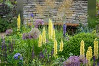 Perennial planting with Allium hollandicum 'Purple Sensation', Salvia 'Caradonna', yellow Lupin and dry stone walling in Cruse Bereavement Care: 'A Time for Everything' - RHS Chatsworth Flower Show 2017 - Designer: Neil Sutcliffe - Sponsor: London Stone