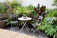 Small modern urban garden full of exotics with decking walkway over slate paving. Metal table and chairs with a border of bronze Phormium, Ferns, Bamboo, Cordyline australis and banana Ensete ventricosum 'Maurelii'. Pachyphytum oviferum - Moonstones - in pot on table.