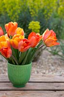Tulipa 'Sunlover' and Tulipa 'Orange Sun' in green container