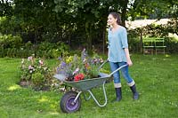 Woman pushing wheelbarrow filled with Summer flowers