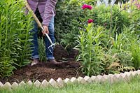 Adding manure into flower border with fork to improve soil