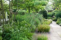 Mixed summer border with Astrantia, Lavatera, Thalictrum aquilegifolium, Rosa and Geranium in walled garden