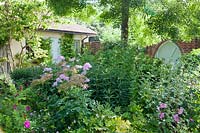 Mixed summer border with Lavatera, Thalictrum aquilegifolium, Rosa, Geranium in walled garden