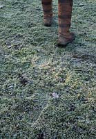 Footprints in frosty grass