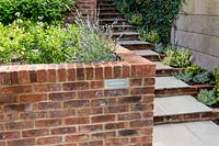 Small London garden in Richmond. Corner of raised bed with Lavandula angustifolia. Step planting: Euonymus fortunei 'Emerald Gaiety', Euonymus japonicus 'Ovatus Aureus'