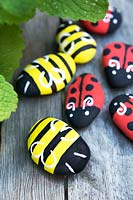 Garden craft making painted Bumble bees and Ladybirds with stones. Paint on wings and antenna in white
