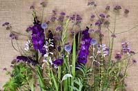 Verbena bonariensis, Penstemon 'Sour Grapes', Buddleia, Echinops ritro and Gladiolus 'Purple Flora' on hessian sheet