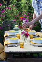 Preparing an outdoor table for a Summer party