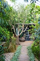 Office in back garden with log basket and fake cacti - Hackney garden London 