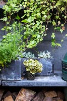 Plants arranged around bbq area. The Big Green Egg company barbecue in Abigail Ahern designer - Hackney garden London 