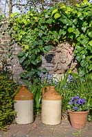 Decorative jugs in front of and Indian style sculpture on the brick wall overgrown with ivy. Planting includes Violas in a clay pot and Bluebells