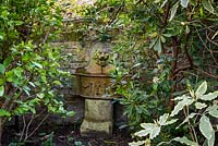 A shady corner with an ancient steel trough  with lion's head on a stone pedestal