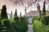 Yew and Box topiary in Charlotte and Donald Molesworth's garden, Kent, UK.