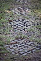 Cobbled paving pathway.