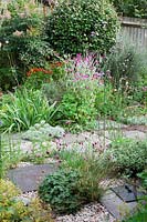 A small low maintenance modern cottage garden planted with self seeding perennials.