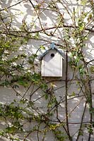 Decorative wooden bird box on wall. Garden: Little Court, Winchester, Hampshire