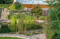 The natural swimming pool with a modern contemporary house and garden