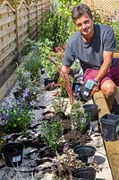 Antony from Garden on a roll planting potted plants according to the paper plan for the designed border