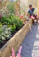 Antony from Garden on a roll planting potted mature plants according to the paper plan for the designed border
