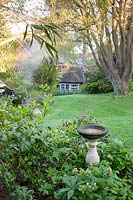 Decorative stone birdbath with Helleborus in spring border Garden: Quarry Cottages, Sussex
