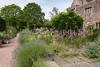 The Terrace and Terrace Walk with Dierama, Lavender, standard wisteria and Erigeron karvinskiansus
