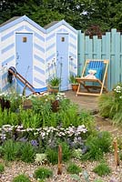 Blue and white painted beach huts and deck chairs on decking, driftwood posts, gravel, pebbles and planting of grasses, Eucalyptus gunnii 'Azura' underplanted with Achillea ptarmica 'The Pearl', Achillea millefolium 'Wonderful Wampee', Nepeta racemosa 'Walker's Low', Verbena bonariensis, Stipa tenuissima in front of blue fence - By The Sea - RHS Hampton Court Palace Flower Show 2017 - Design: James Callicott - Sponsor: Southend Borough Council.