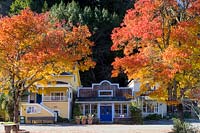 Traditional painted timber buildings flanked by trees with autumn foliage. Occidental, on the Bohemian Highway, Sonoma County, California.