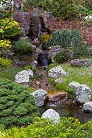 Peaceful waterfall and stream flanked by rocks, dwarf conifers and azaleas. Japanese Tea Garden at Golden Gate Park, San Francisco, California.