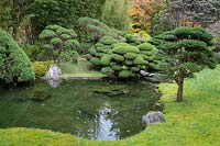 The Sunken Garden, in the Japanese Tea Garden at Golden Gate Park, San Francisco, California. Cloud topiary of pines and other conifers surround the water of the pool.