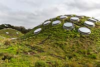 The Living Roof of the Academy of Sciences in Golden Gate Park. It is one of the most complex living roofs ever built and was inspired by San Francisco's hills and valleys. Plants include evening primrose - Oenethera elata, Californian sagebrush - Artemisia californica, Festuca brachyphylla, grasses and succulents which survive well with minimal maintenance. San Francisco, California.