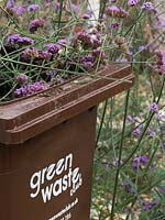Autumn tidying in garden - brown bin