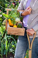 Woman carrying trug of harvested vegetables.