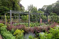 Berberis thunbergii 'Atropurpurea' with contemporary metal pergola in Tom Hoblyn designed garden at Heatherbrae