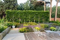 Alchemilla mollis, Nepeta 'Walker's Low', and Pleached hornbeam - Carpinus betulus in a patio area with hardwood decking, Yorkstone paving and contemporary cast iron garden furniture in Tom Hoblyn designed garden at Heatherbrae