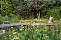 Phlomis russeliana next to pond in Tom Hoblyn designed garden at Heatherbrae