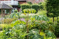 Tetrapanax papyrifera 'Rex' with views across the garden to main house in a Tom Hoblyn designed garden at Heatherbrae